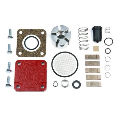 Fill-Rite Company 4200KTF8739 Pump Rebuild Kit, Fits 1200C 2400C 4200D 4400D & 600C Series