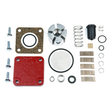 Load image into Gallery viewer, Fill-Rite Company 4200KTF8739 Pump Rebuild Kit, Fits 1200C 2400C 4200D 4400D &amp; 600C Series
