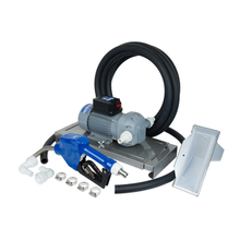 Load image into Gallery viewer, Fill-Rite Company DF120DAN520 DEF Transfer Pump w/Auto Nozzle, 115V AC