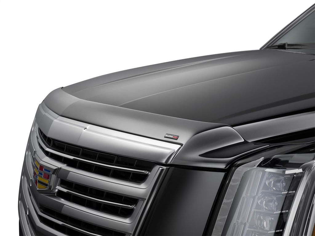 Weathertech 55269 Low Profile Aerodynamic Hood Protector for Select Toyota 4Runner, Toyota Tacoma