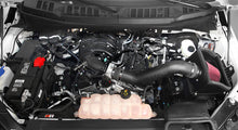 Load image into Gallery viewer, K&amp;N 57-2596 Performance Air Intake System for Select Ford F-150