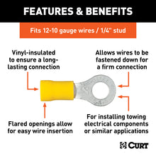 Load image into Gallery viewer, CURT 59534 Ring Terminals (12-10 Wire Gauge, 1/4" Stud Size, 100-Pack)