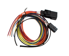 Load image into Gallery viewer, FiTech Fuel Injection 60020 FI System Kit