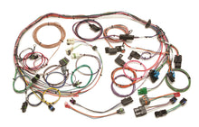 Load image into Gallery viewer, Painless Wiring 60101 Fuel Injection Wiring Harness