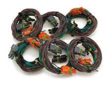 Load image into Gallery viewer, Painless Wiring 60325 Emission Harness