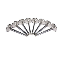Load image into Gallery viewer, COMP Cams 6076-8 Stainless Intake Valves for GM LS1 4.894" Length