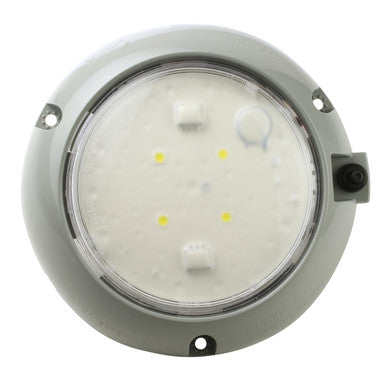 Grote 61171 LED WhiteLight™ 4" Dome Lights, Push-button Switch, 12V