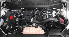 Load image into Gallery viewer, K&amp;N 63-2596 Performance Air Intake System for Select Ford F-150