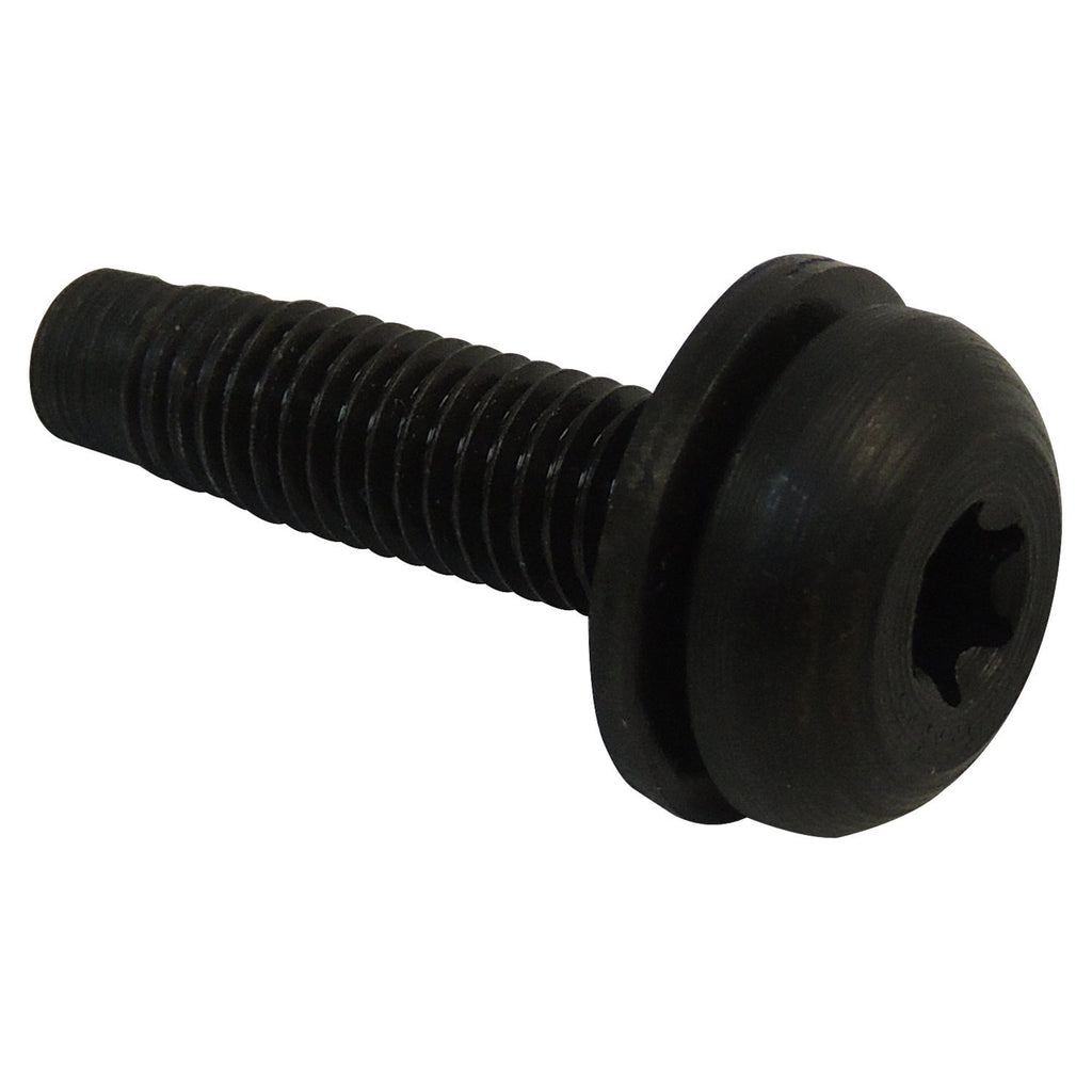 Crown Automotive Jeep Replacement 6506826AA Hardtop Screw for 02/06 Jeep TJ Wrangler and 07/18 Jeep JK Wrangler w/ Hard Top for Select Jeep TJ, Jeep Wrangler, Jeep Wrangler JK