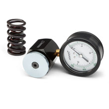 Load image into Gallery viewer, Proform 66835 0-300LB Range