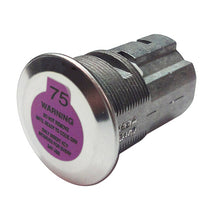 Load image into Gallery viewer, BOLT 692918 LOCK CYLINDER GM A (EARLY MODEL) for Select Buick Century, Buick LeSabre, Buick Park Avenue, Buick Rainier, Buick Regal, Buick Rendezvous, Buick Riviera, Buick Skylark, Buick Terraza, Cadillac CTS, Cadillac DeVille, Cadillac Escalade, Cadillac