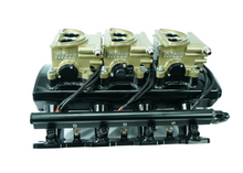 Load image into Gallery viewer, FiTech Fuel Injection 70080 FI System Kit