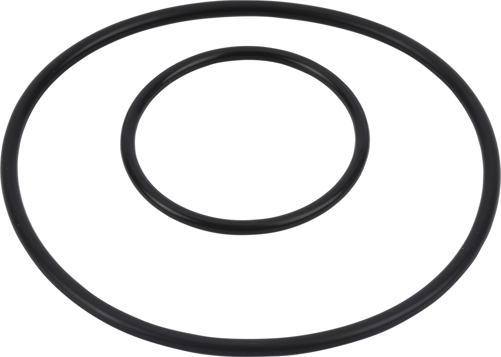 Alliant Power 1 987 972 005 Diesel Fuel Injector Pump Mounting O-Ring