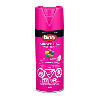 Krylon 45528 COLORmaxx™ Paint + Primer, Gloss, Mambo Pink - 450g