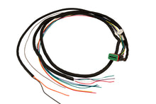 Load image into Gallery viewer, FAST 7430-7700 E7 Ignition System Wiring Harness