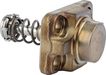 Load image into Gallery viewer, Alliant Power F 01M 101 781 Diesel Fuel Injector Pump Plunger