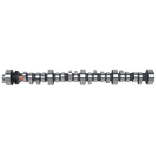Load image into Gallery viewer, Rollin-Thunder-Camshaft-2221