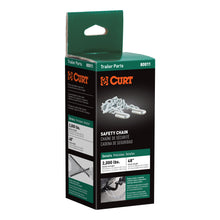 Load image into Gallery viewer, CURT 80011 48" Safety Chain with 2 S-Hooks (2,000 lbs, Clear Zinc, Packaged)