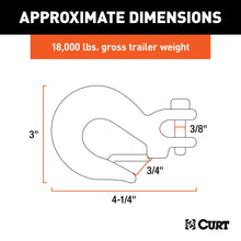 Load image into Gallery viewer, CURT 81950 5/16" Safety Latch Clevis Hook (18,000 lbs, 3/8" Pin)