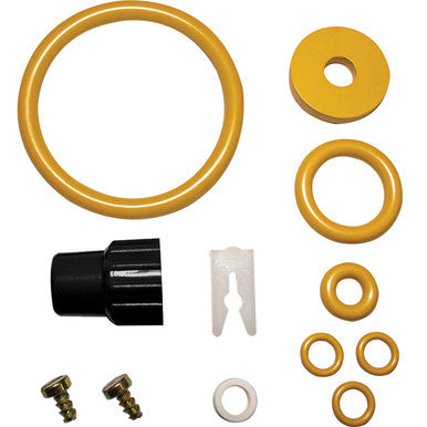 FBS 50375 FPV for 50300 & 50404 - Seals/O-rings with parts