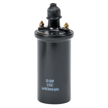 Load image into Gallery viewer, High-Output-Cannister-Style-Ignition-Coil-For-Pro-Flo-4-And-Aftermarket-Efi