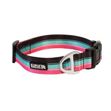 KUMA 867-KM-BTCL-LP-M Backtrack Dog Collar - Medium - 14-20" - Lollipop - Yellow/Pink/Teal
