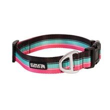 Load image into Gallery viewer, KUMA 867-KM-BTCL-LP-M Backtrack Dog Collar - Medium - 14-20" - Lollipop - Yellow/Pink/Teal