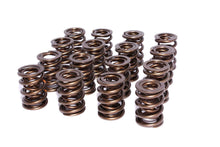 Load image into Gallery viewer, COMP Cams 917-16 Engine Valve Spring Kit