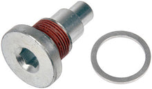 Load image into Gallery viewer, Dorman - OE Solutions 917-954 Timing Chain Guide Bolt