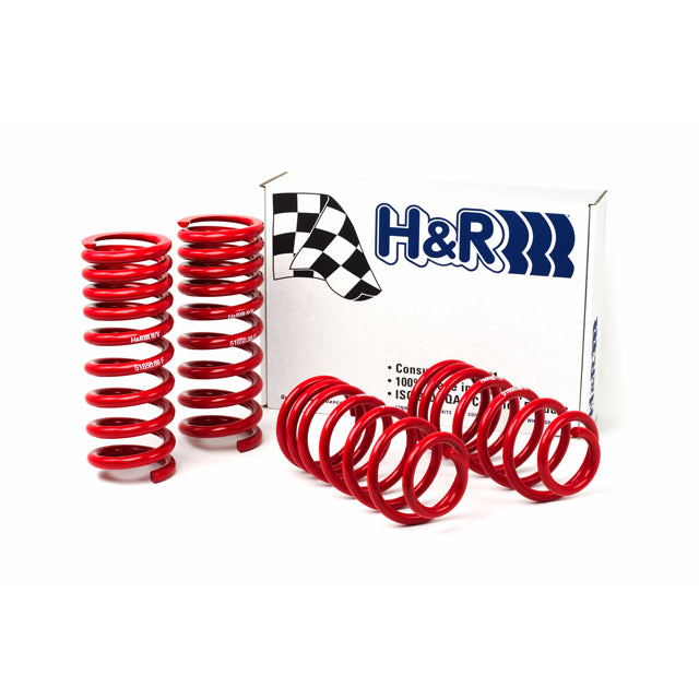 94-95-Ford-MustangMustang-Cobra-V8-Race-Spring