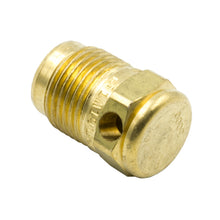 Load image into Gallery viewer, Dedenbear ABVSM CO2 BOTTLE VALVE SAFETY DISK, 3K PSI BURST, FOR 10 OZ. &amp; 2.5 LB BOTTLES, MALE