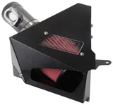 AEM 21-839C Cold Air Intake System