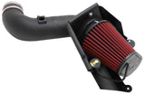 AEM 21-9034DS Brute Force HD Intake System