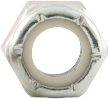 Load image into Gallery viewer, ALLSTAR PERFORMANCE 16061-10 Nylon Insert Nuts 5/16-24 10pk