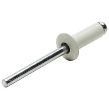 Load image into Gallery viewer, ALLSTAR PERFORMANCE 18001 Sm Hd Rivet White 250pk