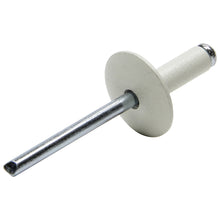 Load image into Gallery viewer, ALLSTAR PERFORMANCE 18011 Lg Hd Rivet White 250pk