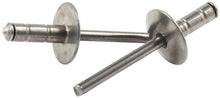 Load image into Gallery viewer, ALLSTAR PERFORMANCE 18094 Lg Hd Rivet Silver 250pk Multi Grip