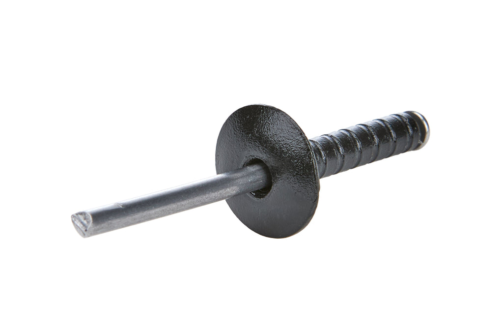 ALLSTAR PERFORMANCE 18095 Lg Hd Rivet Black 250pk Multi Grip