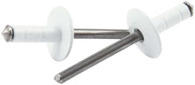 Load image into Gallery viewer, ALLSTAR PERFORMANCE 18096 Lg Hd Rivet White 250pk Multi Grip
