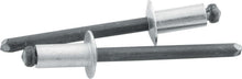 Load image into Gallery viewer, ALLSTAR PERFORMANCE 18101 Sm Hd Rivet Silver 250pk