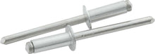 Load image into Gallery viewer, ALLSTAR PERFORMANCE 18109 Sm Hd Rivet Silver 250pk