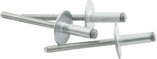 Load image into Gallery viewer, ALLSTAR PERFORMANCE 18151 Lg Hd Rivet 250Pk Silver