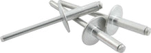 Load image into Gallery viewer, ALLSTAR PERFORMANCE 18153 Lg Hd Rivet 250Pk Silver