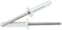 Load image into Gallery viewer, ALLSTAR PERFORMANCE 18185 Md Hd Rivet 250Pk Silver Flange Type St Mandrel