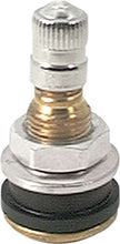 Load image into Gallery viewer, ALLSTAR PERFORMANCE 44134 Brass Valve Stem Bolt-In