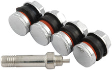 Load image into Gallery viewer, ALLSTAR PERFORMANCE 44137 Valve Stem Flush Mount 4pk