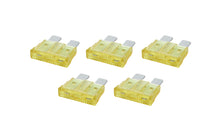 Load image into Gallery viewer, ALLSTAR PERFORMANCE 76367 ATC/ATO Fuse 20 Amp 5pk