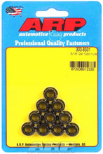 Load image into Gallery viewer, ARP 300-8331 5/16-24 12pt. Nuts (10)