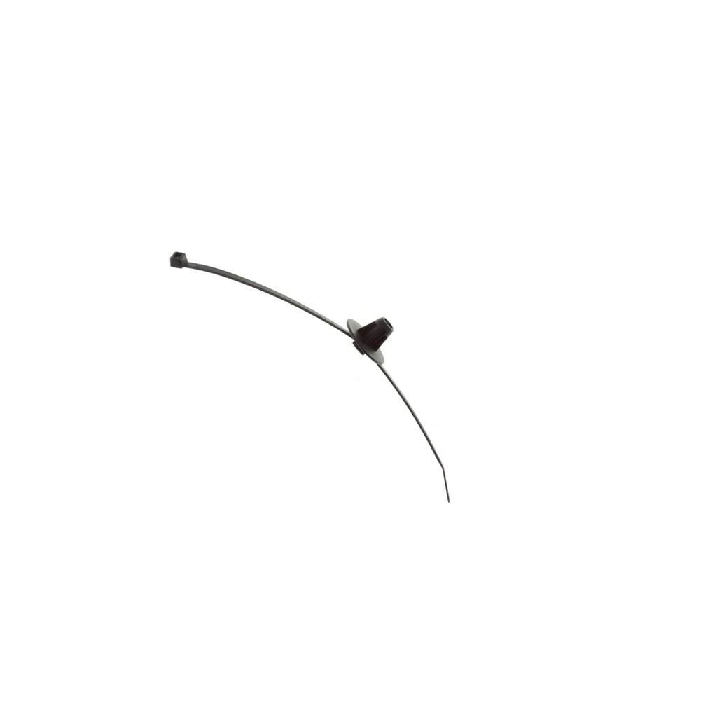 B6-Performance---Suspension-Strut-Assembly