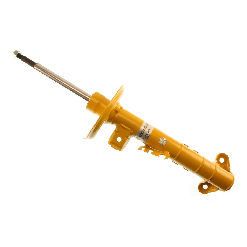 B6-Performance---Suspension-Strut-Assembly
